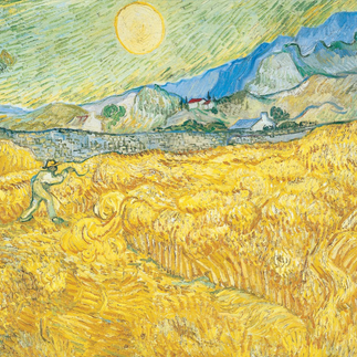 Campo di grano con volo di corvi di Vincent Van Gogh esposto al Museo Van Gogh