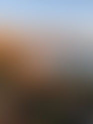 Guida Completa: Consigli Pratici per Viaggiare in Sicurezza in Sudafrica