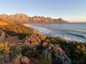 Guida Completa: Consigli Pratici per Viaggiare in Sicurezza in Sudafrica