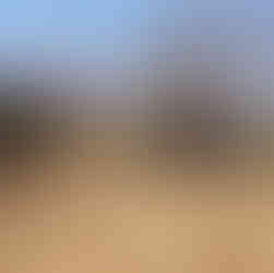 Elefante durante il safari nel Kruger National Park, Sudafrica