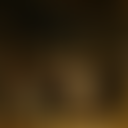 Ronda di notte Rembrandt esposta al Rijksmuseum