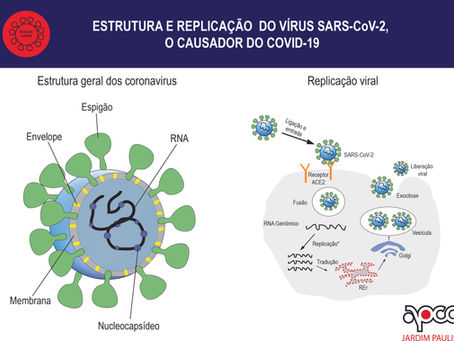 O que devemos saber sobre a biologia do causador do COVID-19?