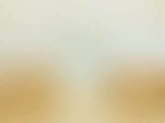 wedding backdrop set up