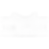 white eyrie logo.png
