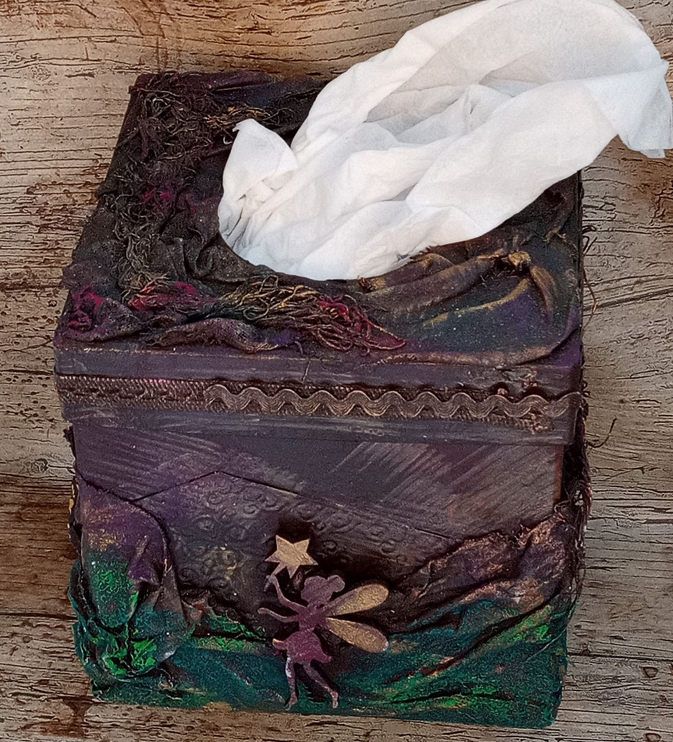 Fairy tissue box