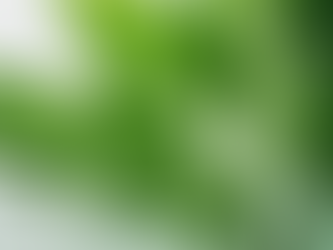 Clean Green: Apex Cleaning's Eco-Friendly Approach