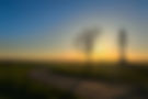 IMG20250329181814.jpg