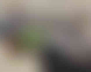 Earth Day, 2025-04-23. Photo: K. Mpulubusi.