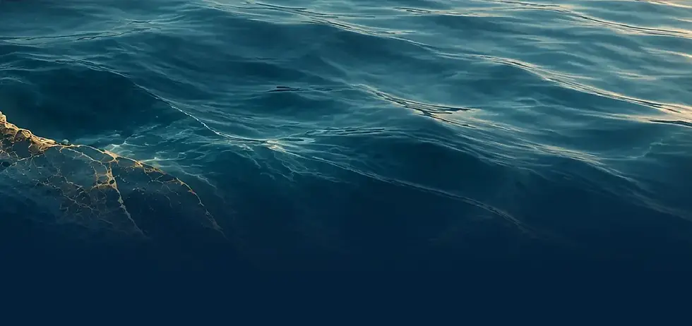 water-v2.webp