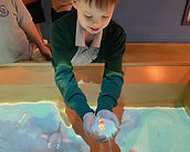 IMG_6969.JPG