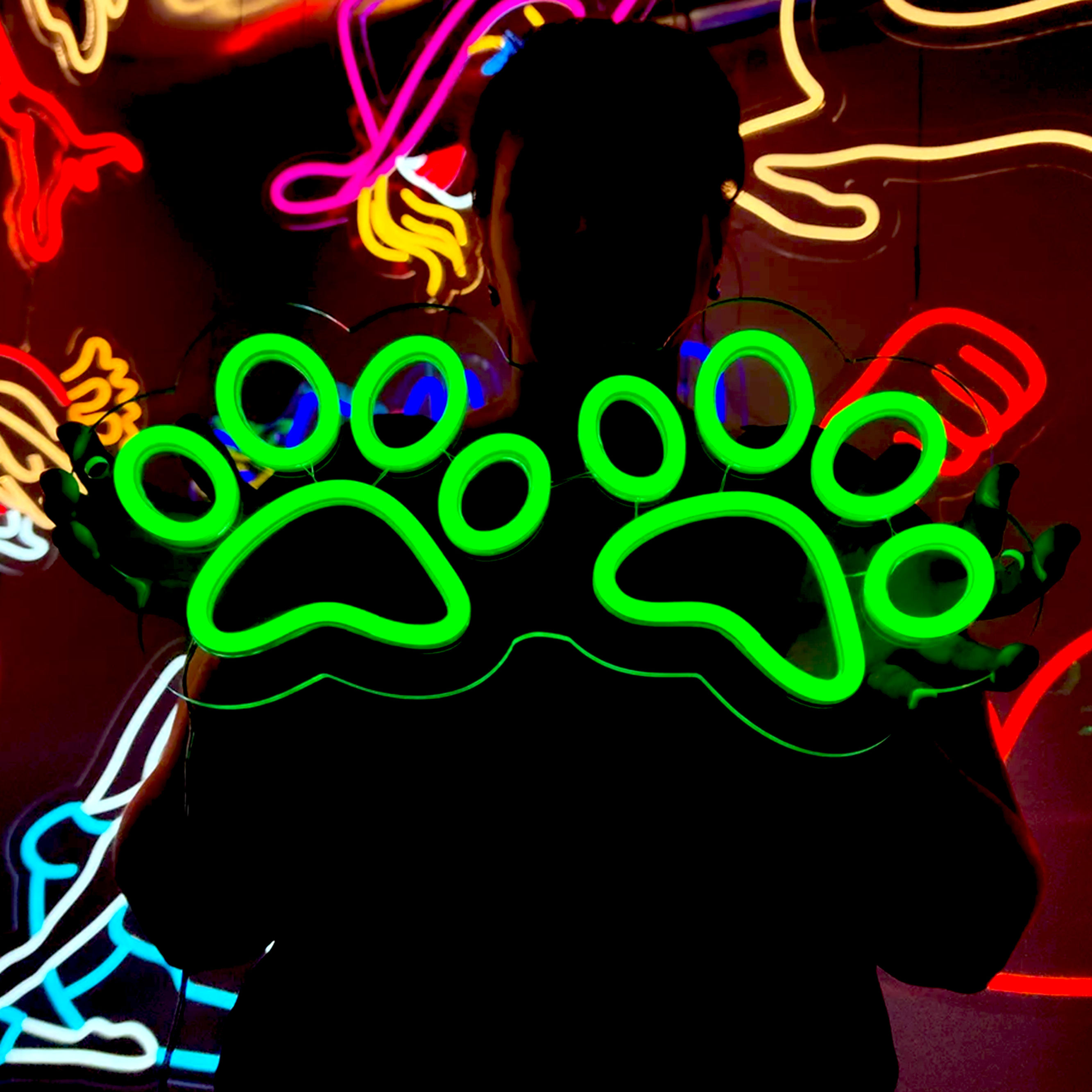 Sevimli Kedi Köpek Pati Neon Tabela