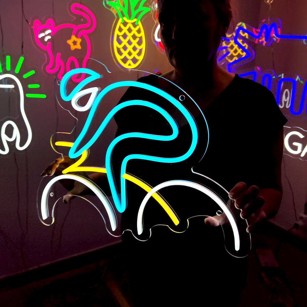 Küçük resim: Bisikletçi Neon Tabela