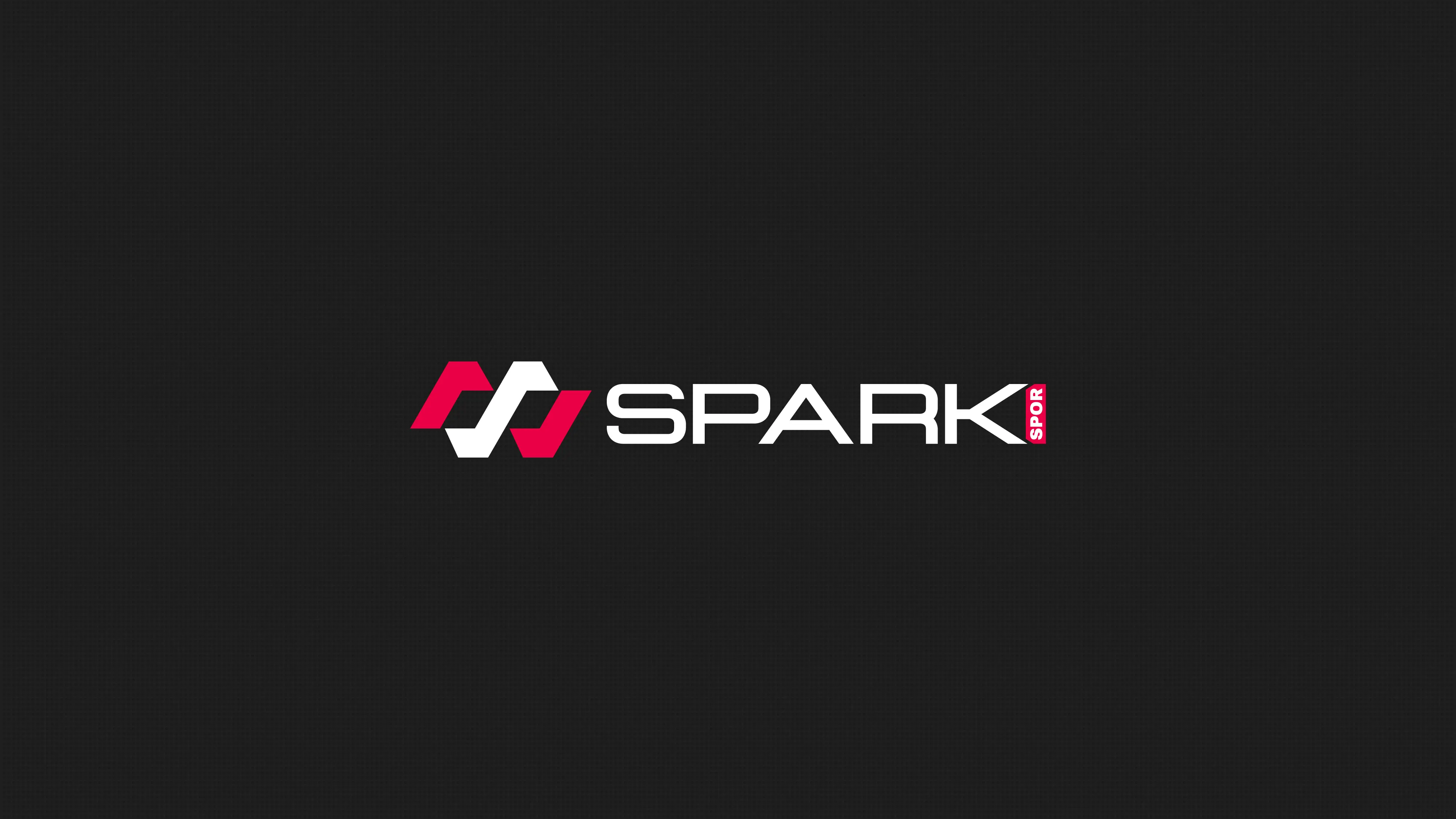 spark_4-06.webp