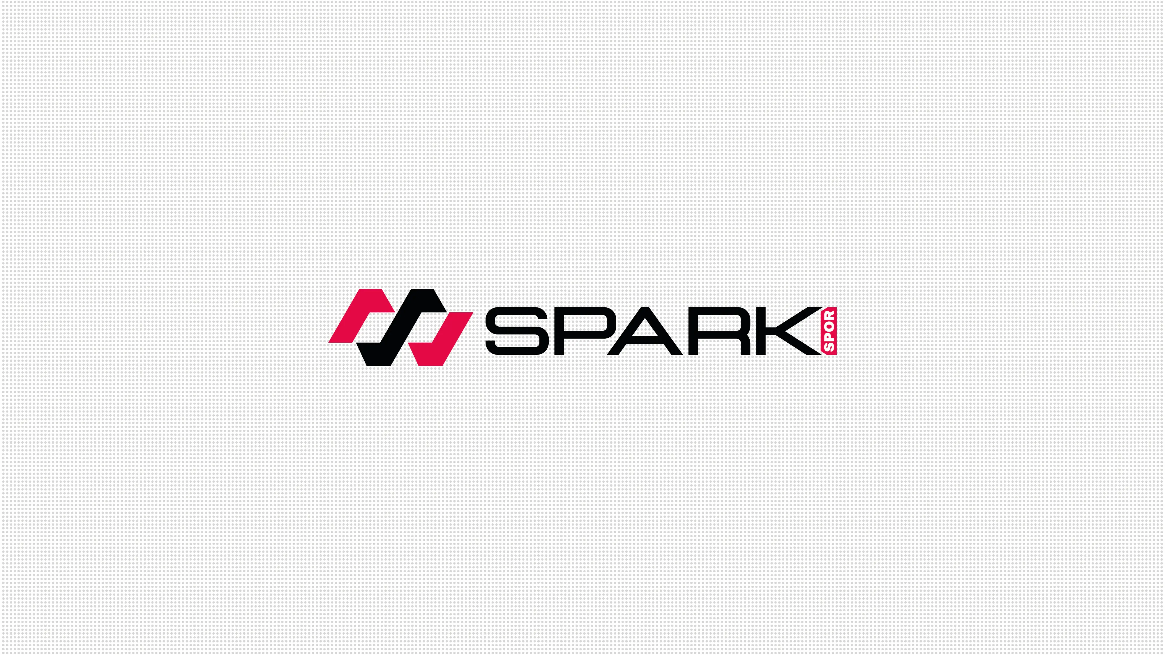 spark_4-07.webp