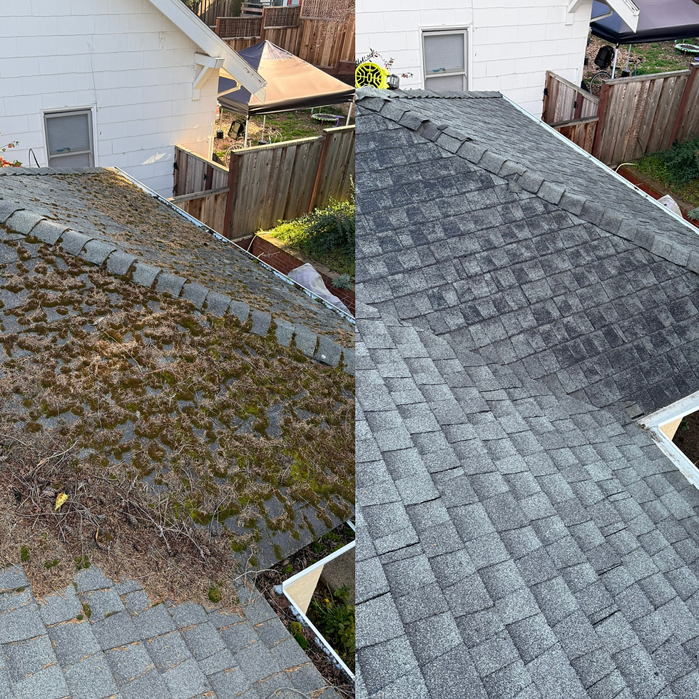 gutter cleaning 3