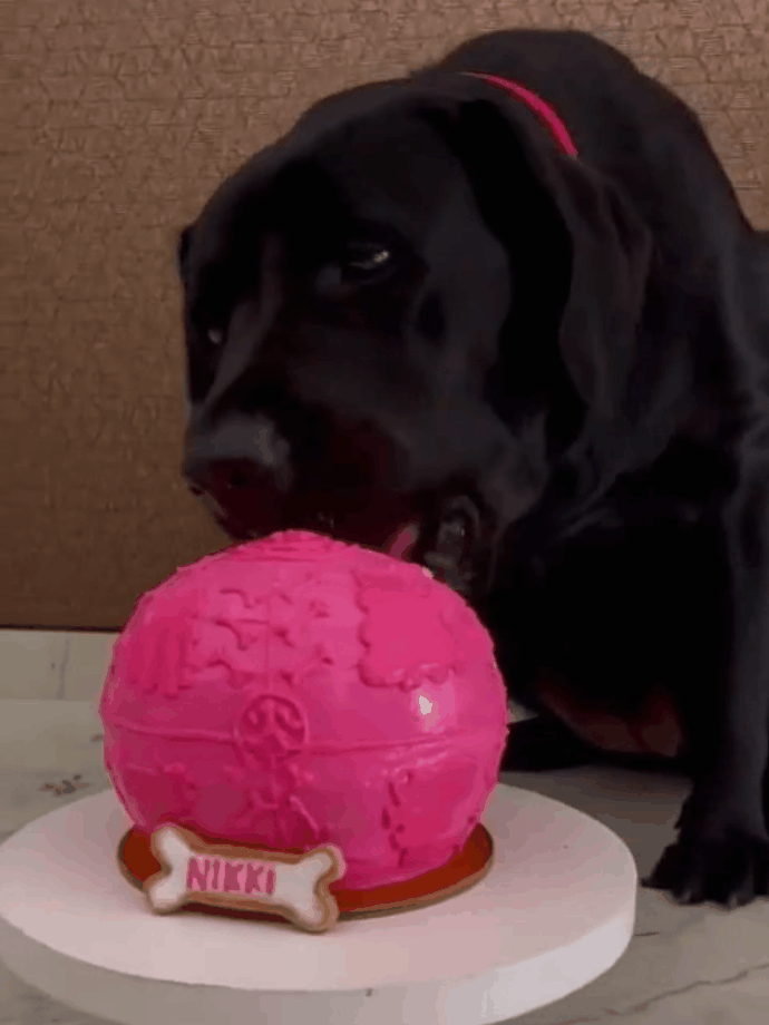 Nikki and fav ball.gif