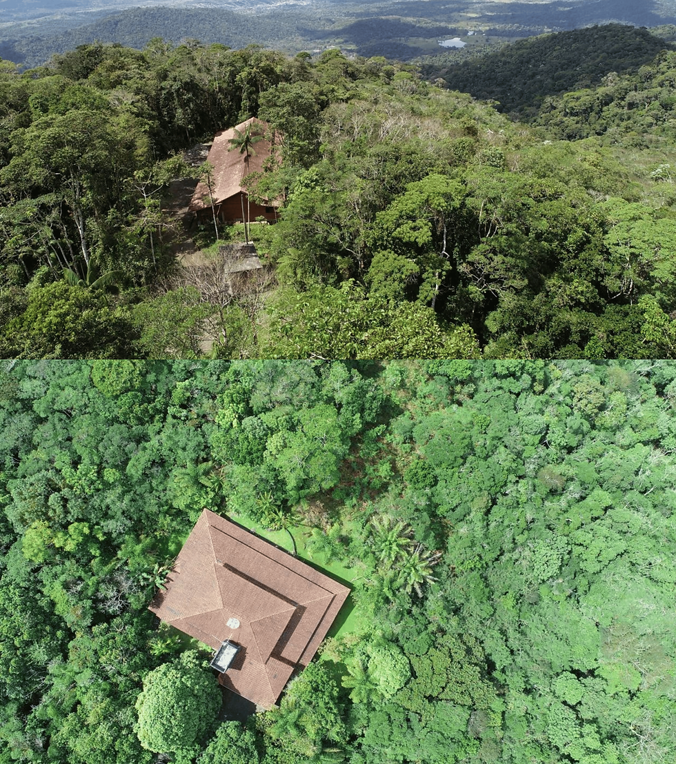 Lodge and research station on the forested summit of Serra Bonita private reserve, Camacan, southern Bahia, Brazil, with montane Atlantic Forest.