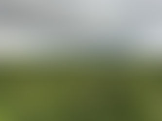 Aerial view of continuous Amazon rainforest canopy stretching across the Brazilian Amazon.