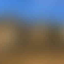 Pfrimer’s Parakeet and the limestone cliffs within dry forest habitat.