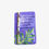 Thumbnail: Religious Magnet
