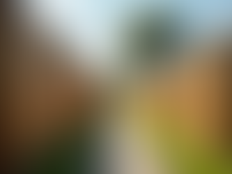 Understanding Fence Laws and Resolving Neighbor Disputes in Florida Homeowner Insights