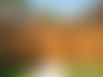 Why Choosing the Cheapest Fence Quote Could Cost You More in Central Florida