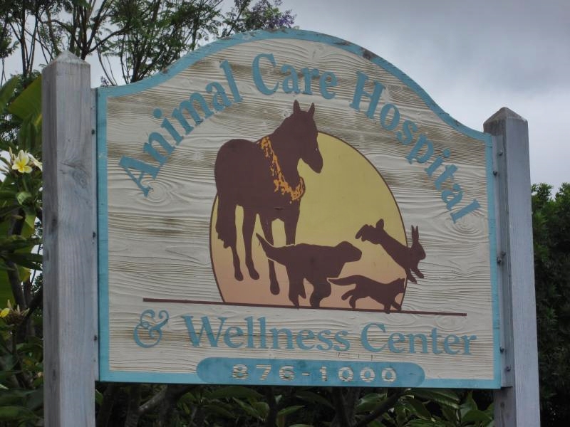 aloha vet clinic