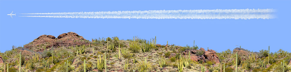 Thumbnail: ORGAN PIPE CACTUS NATIONAL MONUMENT VISTA 1 repeatable