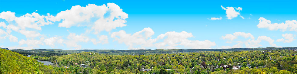 Thumbnail: NEW ENGLAND FOREST VALLEY left