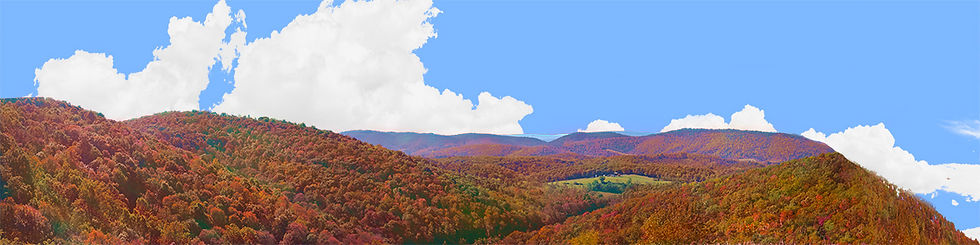Thumbnail: FOREST CANOPY IN WEST VIRGINIA IN AUTUMN right