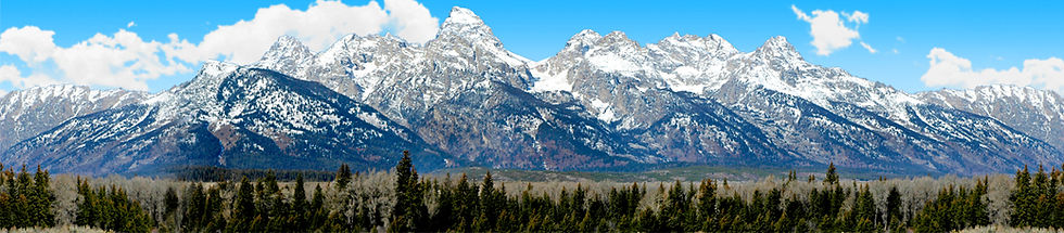 Thumbnail: GRAND TETON NATIONAL PARK MOUNTAIN WITH TALL GRASS AND TREES center repeatable