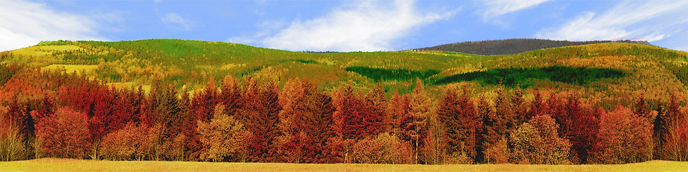 Thumbnail: FORESTED MOUNTAIN IN AUTUMN right continuous