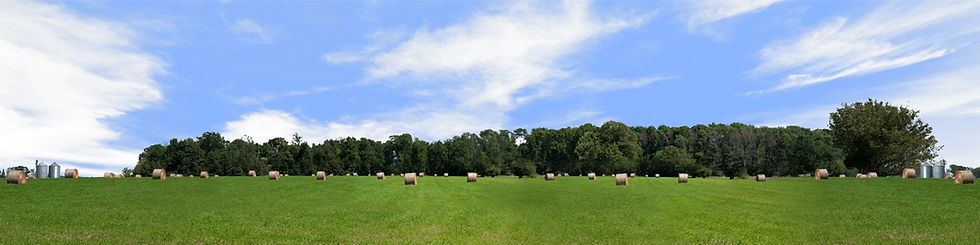 Thumbnail: ROUND HAY BALES WITH TREELINES center repeatable