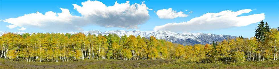 Thumbnail: FALL ASPENS KEBLER COLORADO right