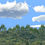 Thumbnail: SMOKY MOUNTAINS FOREST center repeatable