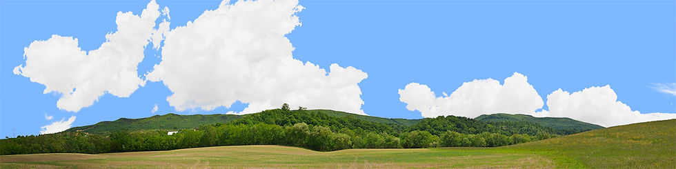 Thumbnail: HILL WITH TREELINE MISSOURI left