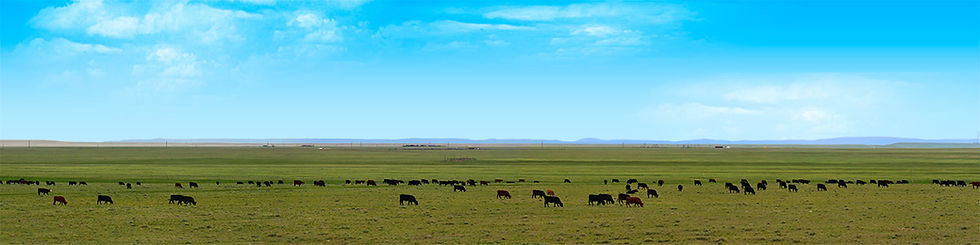 Thumbnail: BEEF ITS WHATS FOR DINNER IN WYOMING PT 1