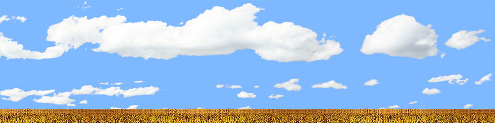Thumbnail: CORN FIELD IN AUTUMN repeatable