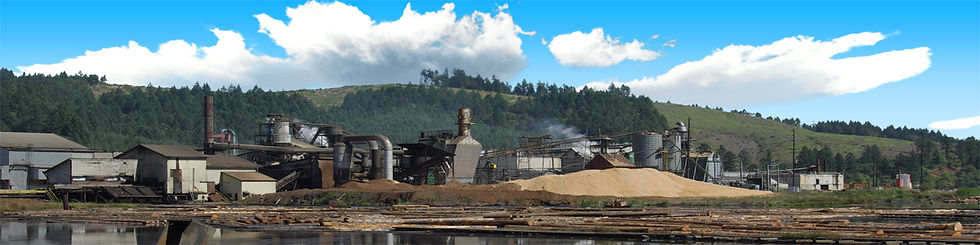 Thumbnail: SAWMILL OREGON left