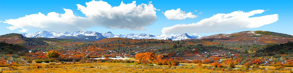 Thumbnail: AUTUMN MEADOW NEAR MOUNT SNEFFLES COLORADO Left Repeatable