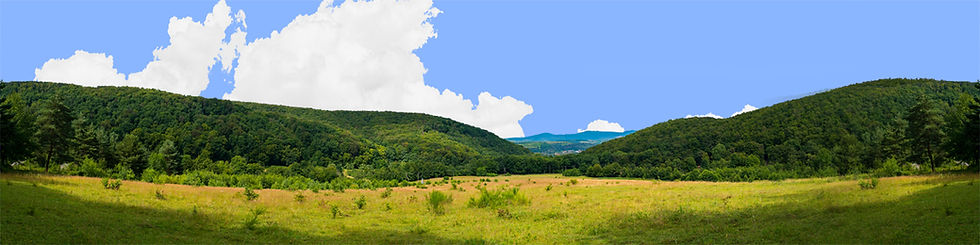 Thumbnail: APPALACHIAN MOUNTAIN VALLEY Center Repeatable