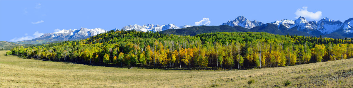 COLORADO EARLY AUTUMN FOLIAGE MEADOW SNOW CAPPED MOUNTAINS left