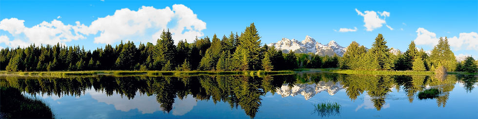 Thumbnail: GRAND TETON TREELINE left