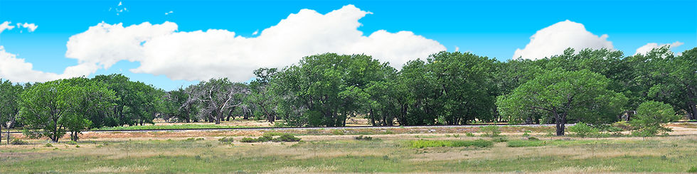 Thumbnail: TREELINE VISTA EASTERN COLORADO 3