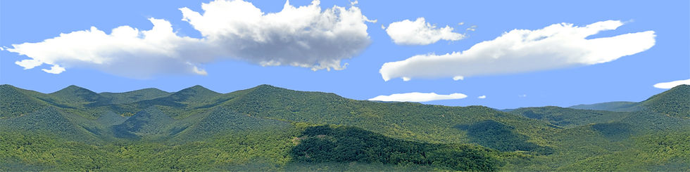Thumbnail: BLUERIDGE MOUNTAIN VISTA 1 Center Repeatable