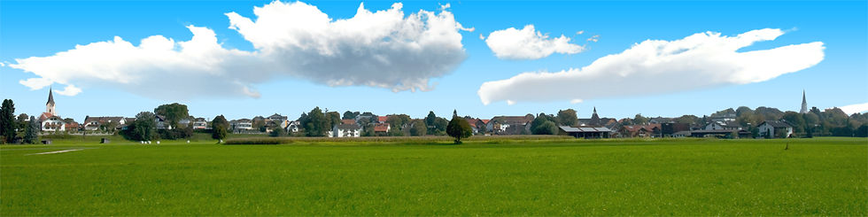 Thumbnail: HOUSES BEHIND GRREN MEADOW right