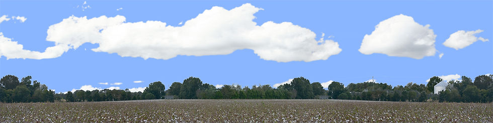 Thumbnail: COTTON FIELDS TENNESSEE WITH BUILDINGS center repeatable