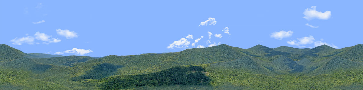 BLUERIDGE MOUNTAIN 2 Center Repeatable