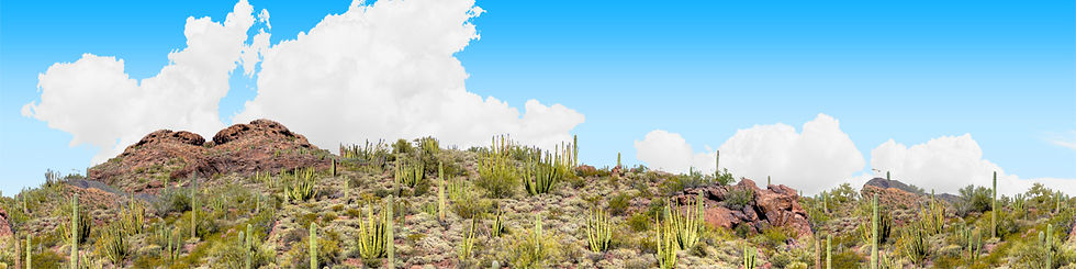 Thumbnail: ORGAN PIPE CACTUS NATIONAL MONUMENT VISTA 1 repeatable