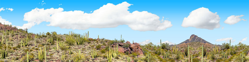 Thumbnail: ORGAN PIPE CACTUS NATIONAL MONUMENT VISTA 3